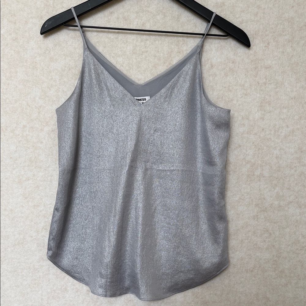 Express Shimmering Silver Camisole Top